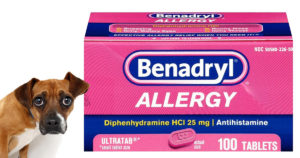Can I Give My Dog Benadryl? If So How Much? – Veterinary Jobs